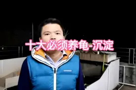 十大必须养龟-沉淀@西瓜视频视频封面