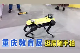 重庆教育装备展，逛展随手拍，机器人智能教育编程培训市场火爆视频封面