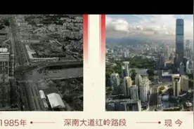 你肯定没见过的深圳：上世纪80年代的深南大道是什么样子？视频封面