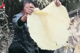 泰安市非遗山东煎饼（一）：玉米用石磨撵碎，加泰安水发酵6小时视频封面