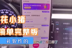 花小猪接单整个过程，感觉怎么样呢？来体验一下吧！视频封面