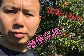 住在日本山上，就这一个好处，免费不要钱，