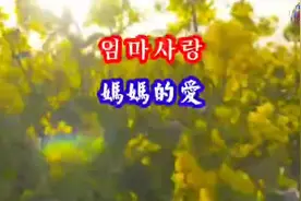 延边歌曲，《妈妈的爱》！！