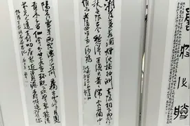 江苏宜兴书法协会，理事书法作品展视频封面