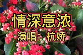 《情深意浓》情深深、意浓浓，似杯酒、如暖风，心心相印来相守！视频封面