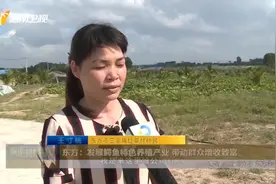 东方市三家镇鳄鱼养殖特色产业，悄然兴起带动村民走上致富路视频封面