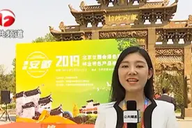 超棒！“皖字号”林产品亮相北京世园会 记者带你一起逛视频封面