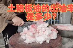 吃粮食青草的猪，一斤板油能熬出多少纯猪油?看完这视频你就知道视频封面