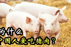 中国人为啥那么爱吃猪肉，1年吃掉6亿头猪，背后原因没那么简单视频封面
