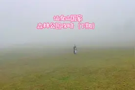 重庆武隆仙女山国家森林公园攻略（下期）视频封面