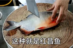 普通的昌鱼，个红昌鱼的区别，看大厨如何红烧，红昌鱼做法简单视频封面