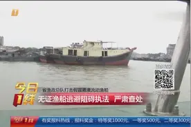 省渔政总队打击假冒港澳流动渔船：无证渔船逃避阻碍执法严肃查处视频封面