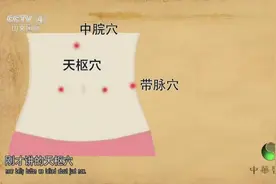 拔罐能减肥吗？听听专家怎么讲的，拔罐常见的减肥穴位了解一下视频封面