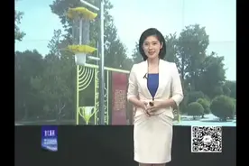夏日蚊虫招人嫌   太阳能灭虫灯把命断！