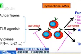 福利!上海专家新发现:雷帕霉素有望成为红斑狼疮潜在有效治疗药物