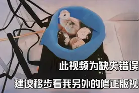 路由器孵蛋，最省钱的孵化方式，不用孵化器的鹌鹑蛋孵化视频封面