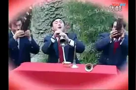 【喜庆唢呐】结婚专用之《百鸟朝凤》视频封面