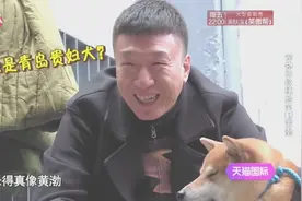 孙红雷看到这只狗都服了，长得太像黄渤了视频封面