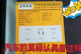 汽车的黄标是显示汽车燃油消耗量的重要标识，你有认真看过吗？
