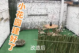 星妹的小花园终于完成了，虽说过程不易，但总体效果还是非常不错视频封面