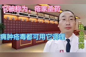 它被称为疮家圣药，痈肿疮毒都可以用它来调理。视频封面