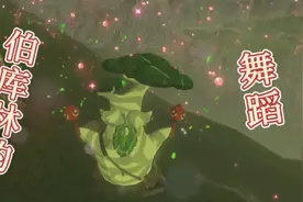 塞尔达传说精灵的神秘舞蹈，让我增加了两个装备，游点好笑视频封面