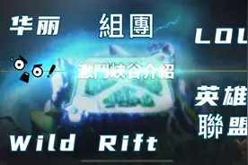 2020 Wild Rift 英雄聯盟 LOL