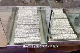 给大家展示一下如何摆放鱼缸滤材！用多久？上过滤与下过滤！视频封面
