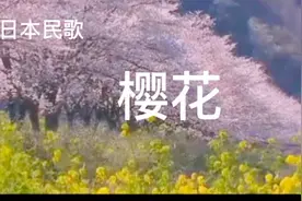 民族味浓郁的日本歌曲《樱花》，令人百听不厌视频封面