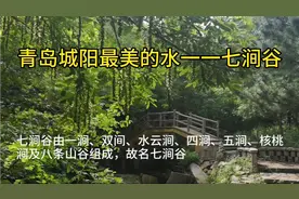 青岛城阳最美的水一一七涧谷，山清水秀的好地方，一起探一下吧！视频封面