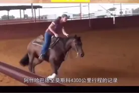 朋友你知道世界上马  跑的最快是哪三种马视频封面