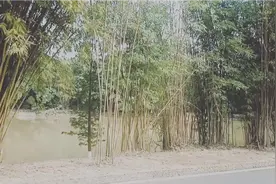 东莞松山湖自驾一日游，租个单车就六十块了，够我买两顿菜钱了视频封面