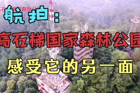 航拍丨四川高石梯国家森林公园，感受它的另一面视频封面