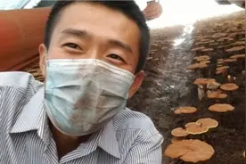 长白山大军:什么是灵芝孢子粉？是灵芝打成的粉吗？视频封面
