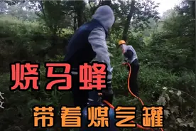 贵州农村两兄弟带上煤气罐去烧马蜂，你见过这种操作？视频封面