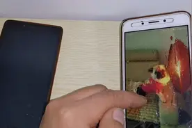 一键设置手机屏幕变下雨，只要别人动你手机，屏幕就不停“流水”视频封面