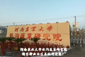 河南农业大学扶沟蔬菜研究院欢迎您，河南规模最大的育苗场之一视频封面