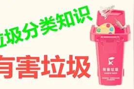垃圾分类知识，教小朋友认识25种常见有害垃圾，迷你垃圾分类玩具视频封面