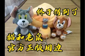 猫和老鼠官方正版周边终于送过来了，白嫖的就是香，美汁汁！视频封面