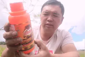 今天又买了一晌地野黄豆除草剂，看看这个有没有大效果视频封面