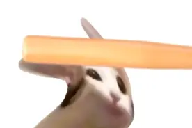 两个pop猫吵架视频封面
