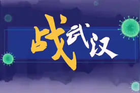 战武汉！用动画还原疫情到现在的情况！保卫武汉！视频封面
