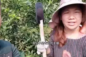四川丹棱县的果农正在直播采摘丑橘，看到他们的直播设备太惊讶了视频封面