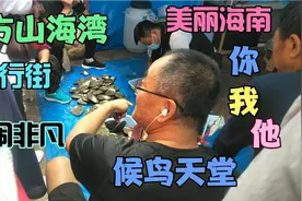 海南省东方市山海湾商业步行街，小伙生意特火，一年能赚好几十W视频封面