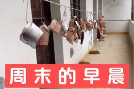 乡村里周末的早晨，奶奶一早就开始忙碌，朴实的农村生活你喜欢吗视频封面