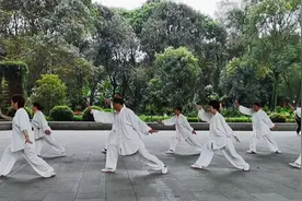 32式太极拳是中国武术段位制的四段太极拳规定套路属于中段位视频封面