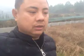青蛙冬眠是自然规律，只需注意以下几点就可以了视频封面