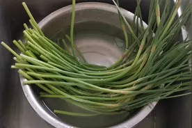 酸蒜苔的腌制方法，配方精确到克，酸脆爽口，腌一次吃一年