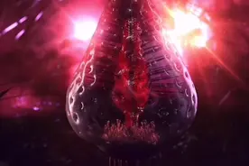 看完这个视频你肯定再也不敢吃草莓了！！！视频封面