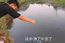 湖南龙弟：农村鱼塘下地笼，意外收获一条大水蛇，太吓人了视频封面